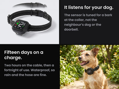 NooBark Anti-Bark Collar