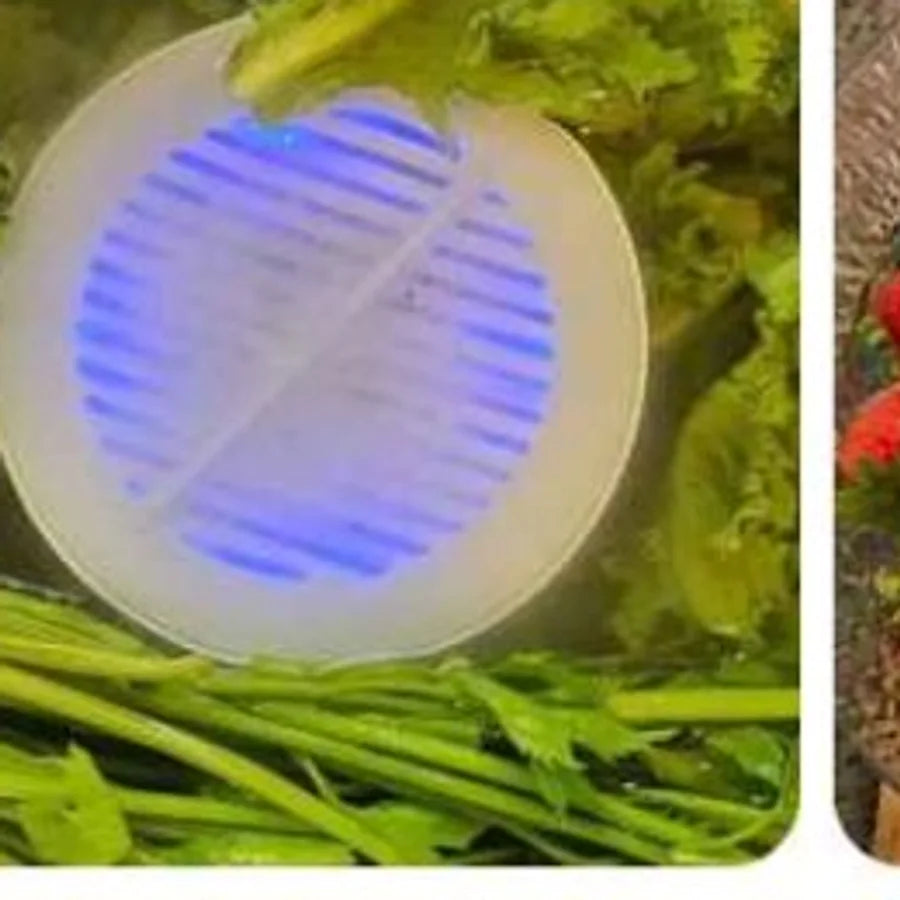 The puck in a bowl of leafy greens