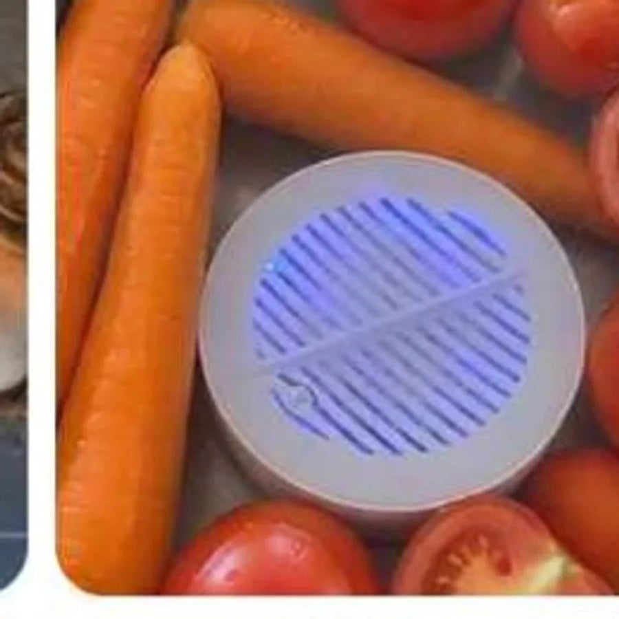 The puck in water with carrots and tomatoes