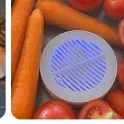 The puck in water with carrots and tomatoes