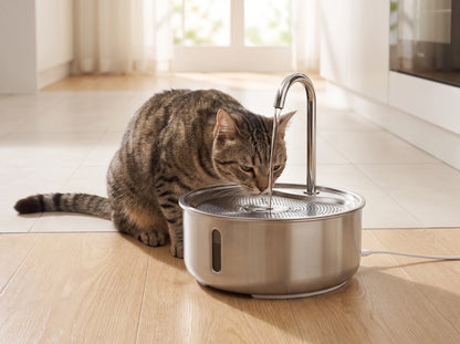 Steelbrook Pet Water Fountain